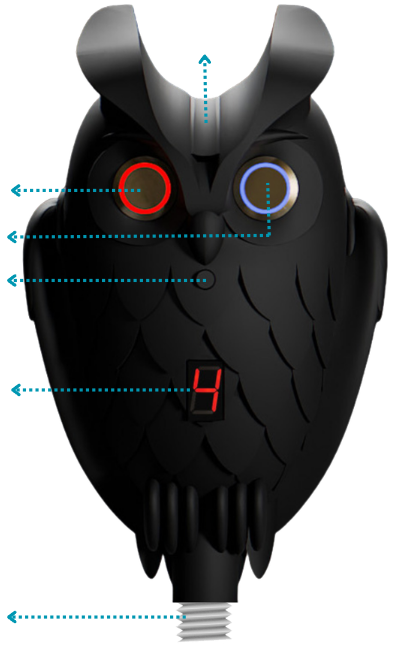 WiserFisher – Vista anteriore (contrassegnata)